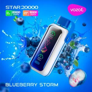 Vozol Blueberry Storm